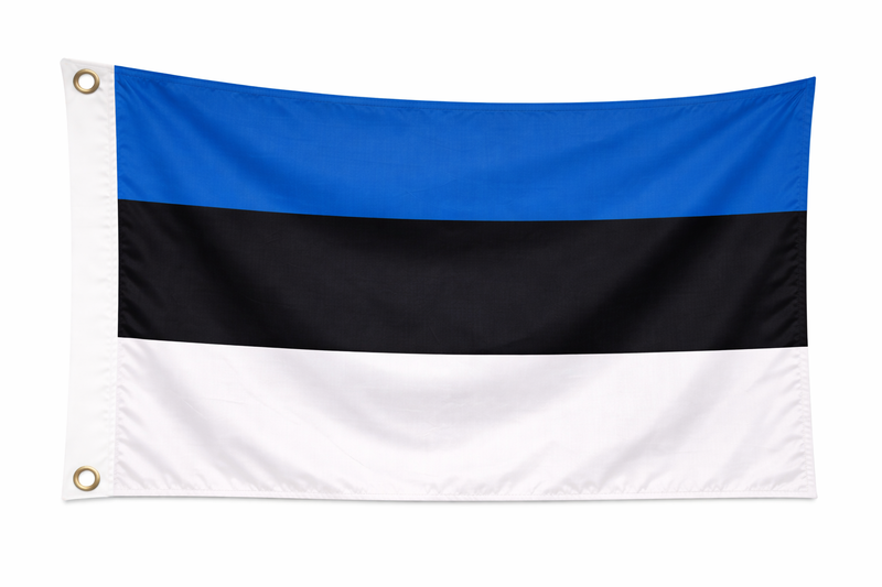Estonia 1.52m x 0.91m (5ftx 3ft) Budget Display Flag