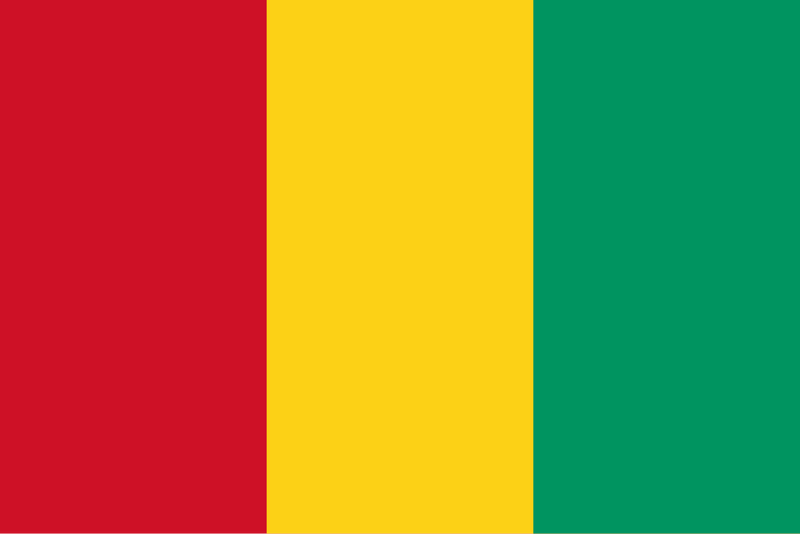 Guinea Sewn Flag with Rope & Toggle