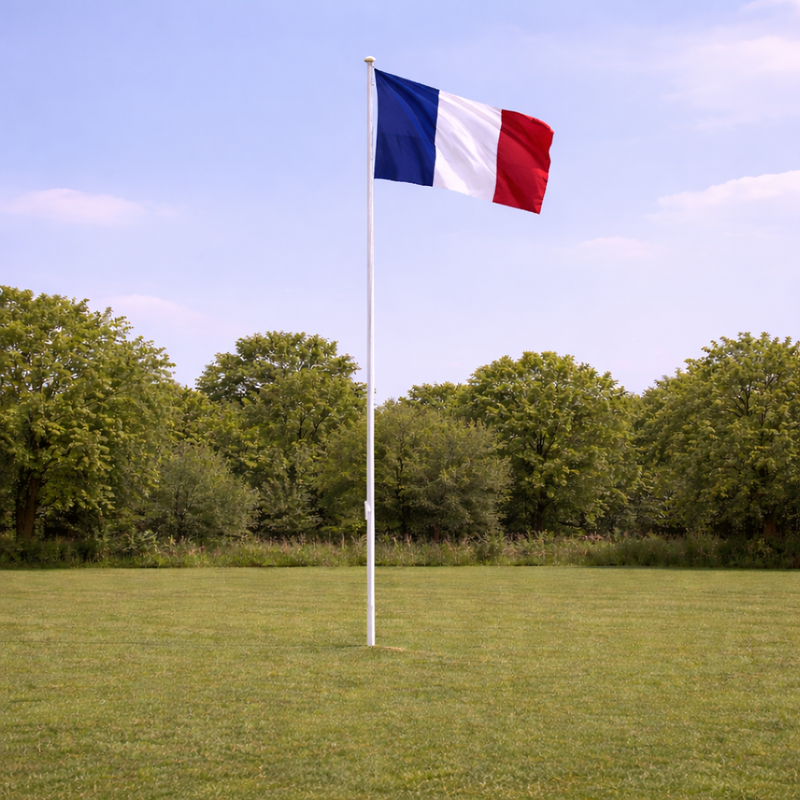France Supporters Flagpole Kit