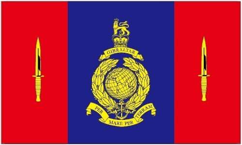 45 Commando Royal Marines 1.52m x 0.91m (5ftx 3ft) Budget Display Flag