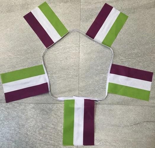 Genderqueer bunting - 6 metres