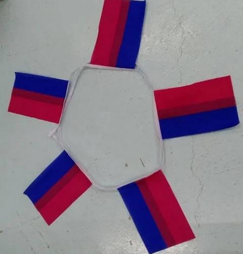 Bisexual Bunting (LGBTQ+ Pride)