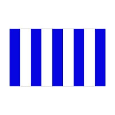 Blue & White Stripes 1.52m x 0.91m (5ftx 3ft) Budget Display Flag