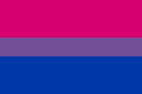 Bi pride flag - 5ft x 3ft in size