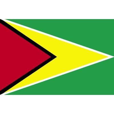 Guyana Flag