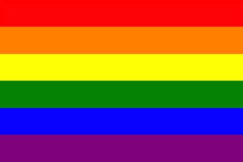 LGBTQ+ Car flag
