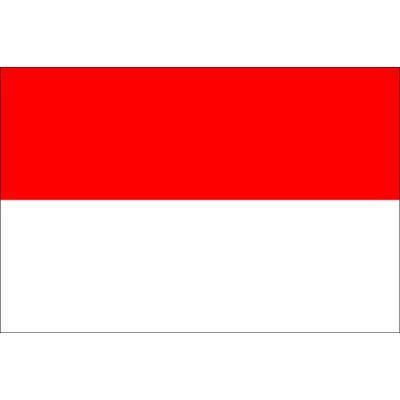 Indonesia 1.52m x 0.91m (5ftx 3ft) Budget Display Flag