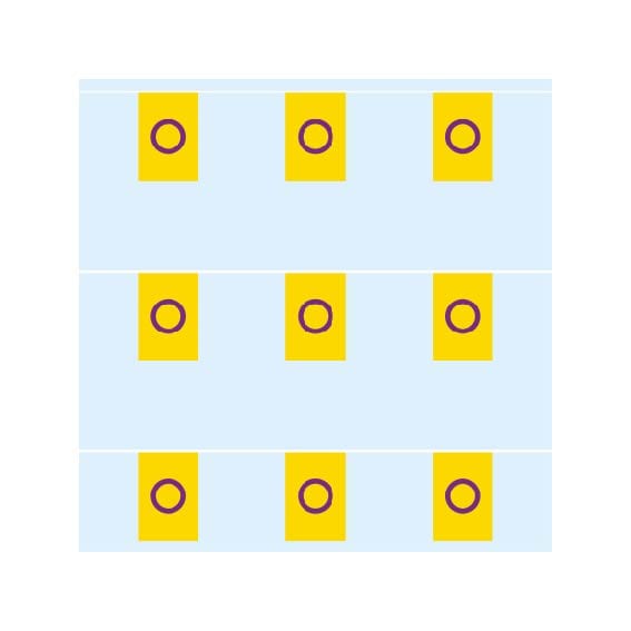 Intersex Pride Bunting