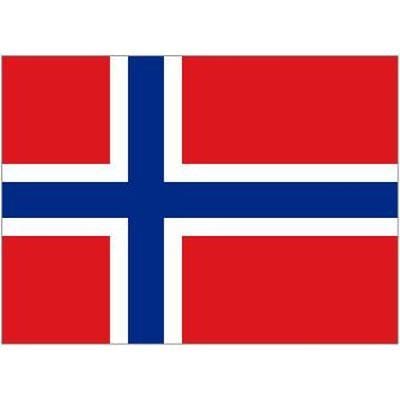 Norwegian Table Flag