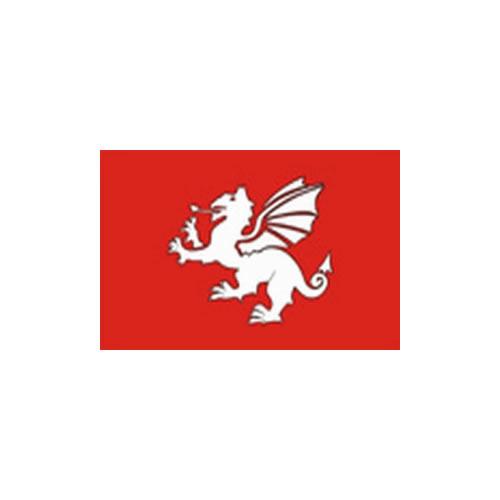 Pendragon 1.52m x 0.91m (5ftx 3ft) Budget Display Flag