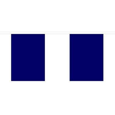 Plain Blue Fabric Bunting