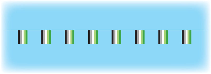 Aromantic Flag Bunting - 10 metres