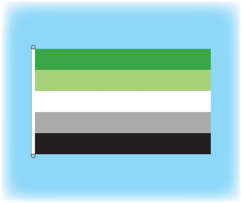 Aromantic Flag