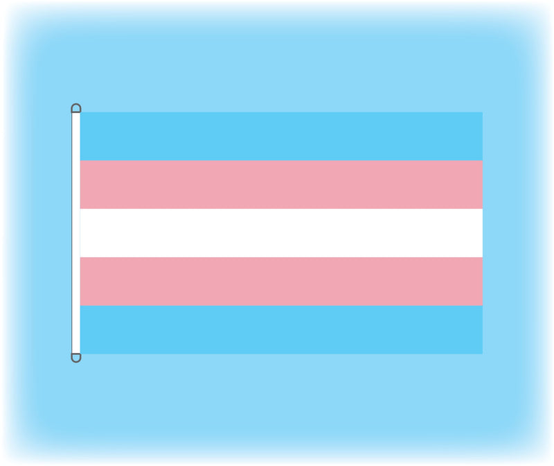 Transgender Flag