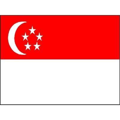 Singapore Flag