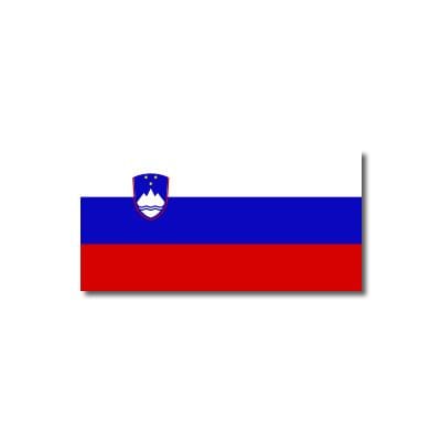 Slovenian Flag