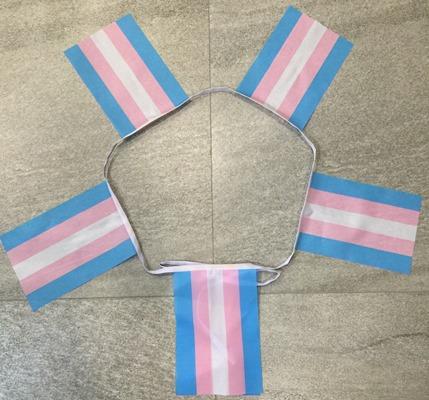 Transgender bunting - 6 metres