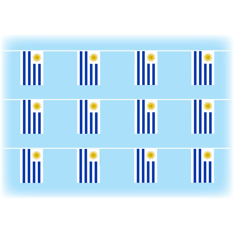 Uruguay Bunting