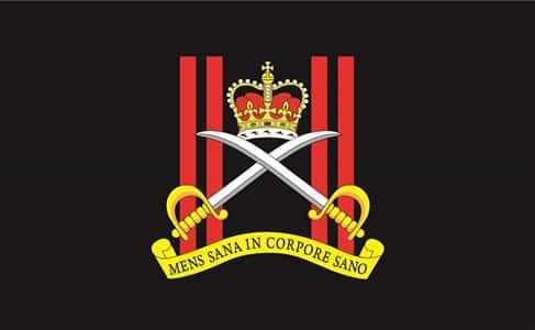 Army Physical Training Corps Camp 1.52m x 0.91m (5ftx 3ft) Budget Display Flag