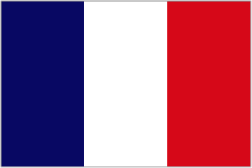 France handwaving flags