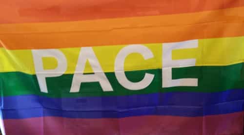Rainbow PACE (Italian; 'peace') Flag (LGBTQ+ Pride)