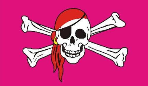 Skull & Crossbones Pink