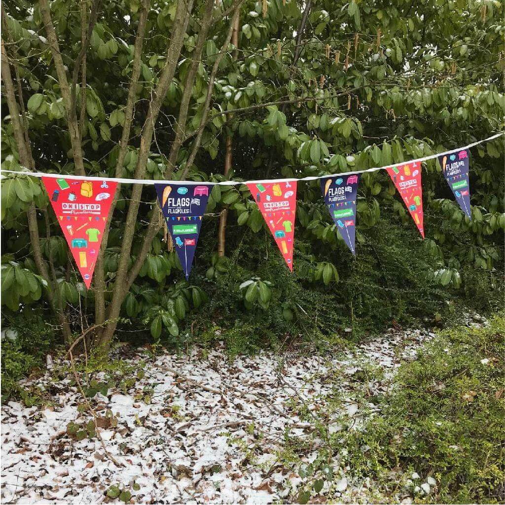 Snow problem for our bunting