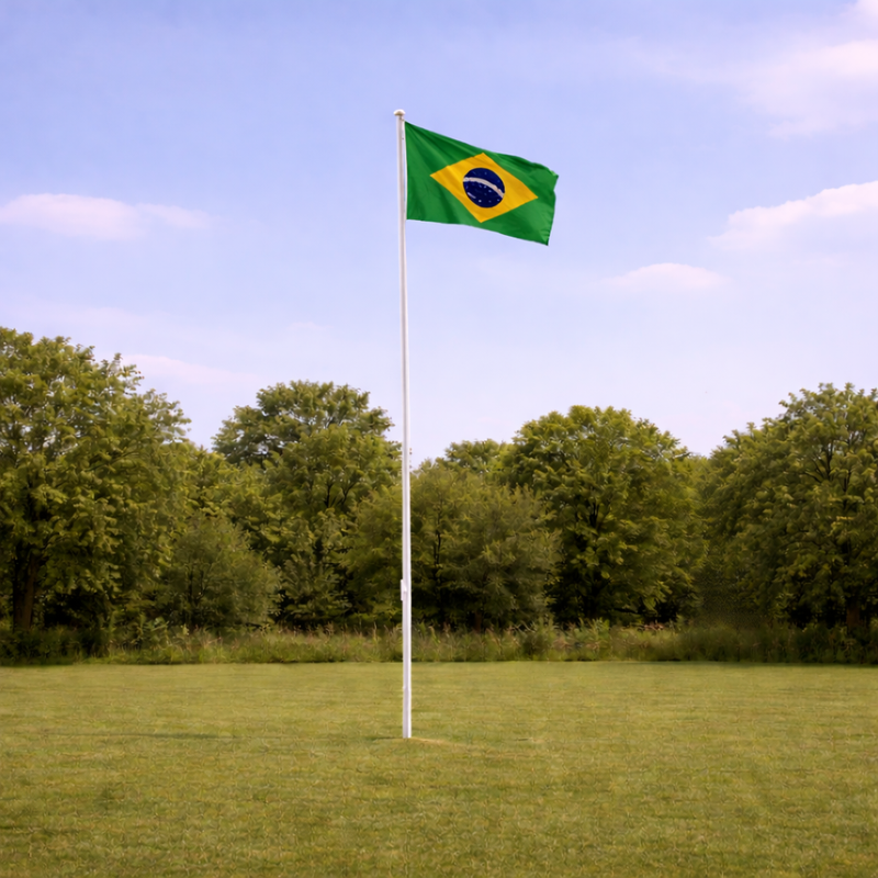 Brazil Supporters Flagpole Kit
