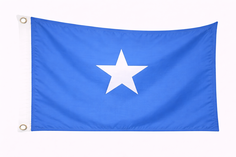 Somalia 1.52m x 0.91m (5ftx 3ft) Budget Display Flag