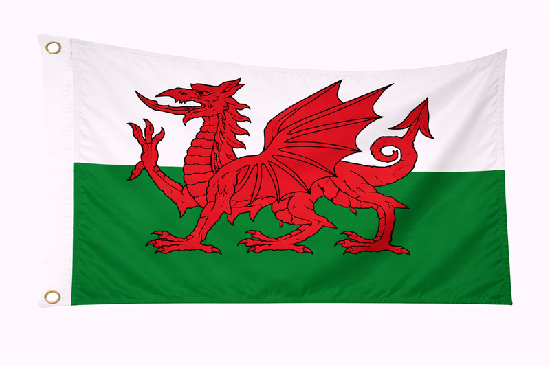 Budget Wales Flag 5ft x 3ft