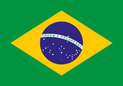 Brazil 1.52m x 0.91m (5ftx 3ft) Budget Display Flag