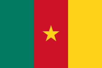 Cameroon Budget Display Flag 91cm x 60cm (3ft x 2ft)