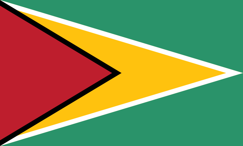 Guyana Sewn Flag with Rope & Toggle