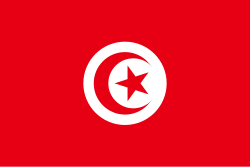 Tunisia 1.52m x 0.91m (5ftx 3ft) Budget Display Flag