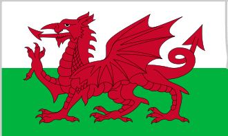 Wales 1.52m x 0.91m (5ftx 3ft) Budget Display Flag