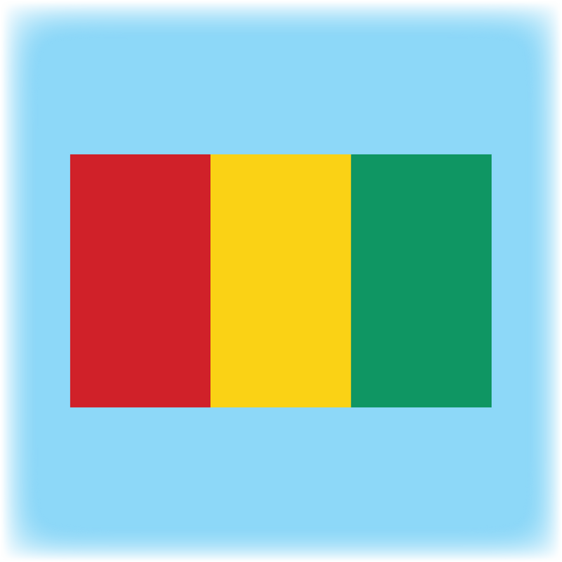 Guinea Flag