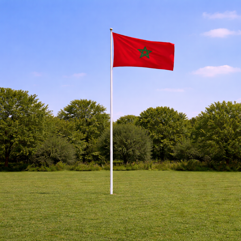 World Cup Flagpole Kit