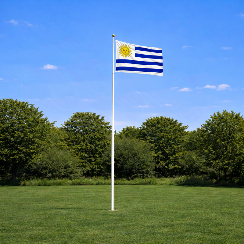 World Cup Flagpole Kit