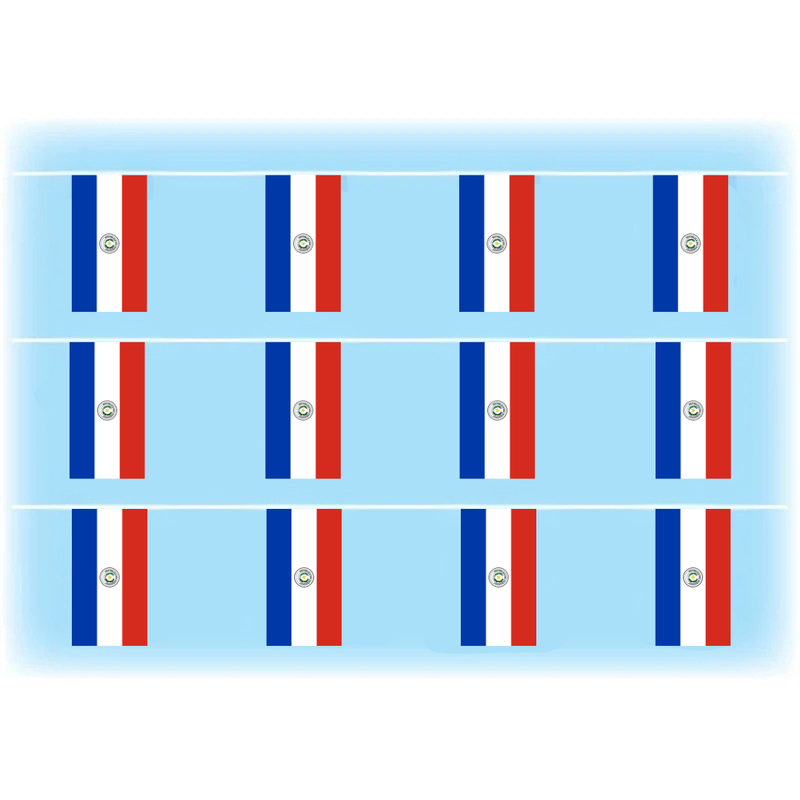 Paraguay Synthetic Bunting