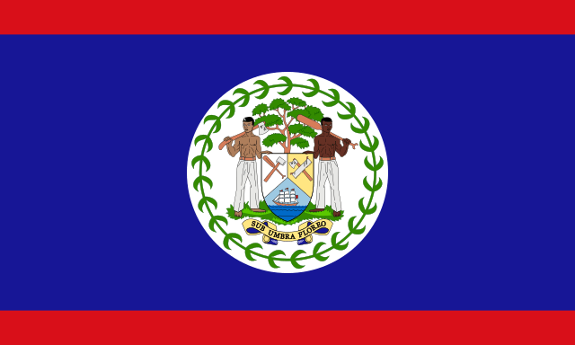 Belize 1.52m x 0.91m (5ftx 3ft) Budget Display Flag