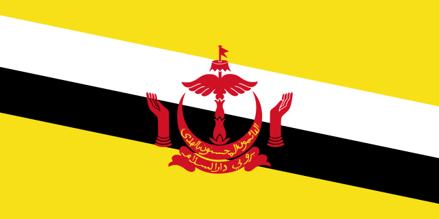 Brunei 1.52m x 0.91m (5ftx 3ft) Budget Display Flag