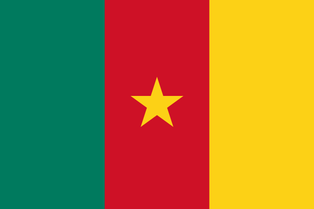 Cameroon 1.52m x 0.91m (5ftx 3ft) Budget Display Flag