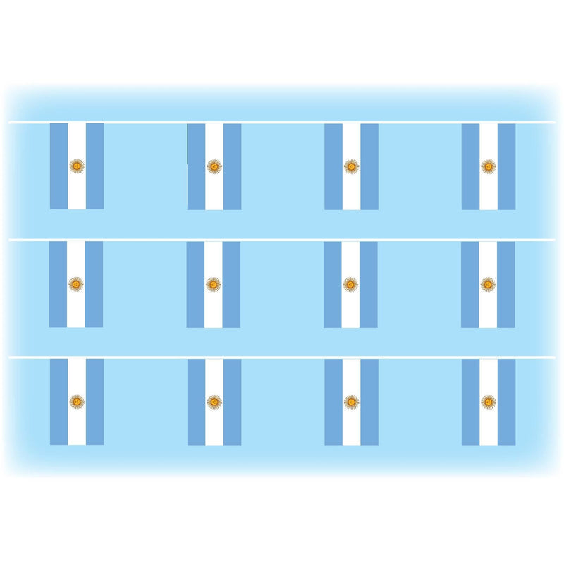 Argentina flag bunting