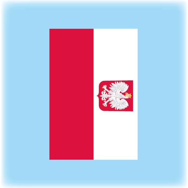 Polish State flag synthetic bunting