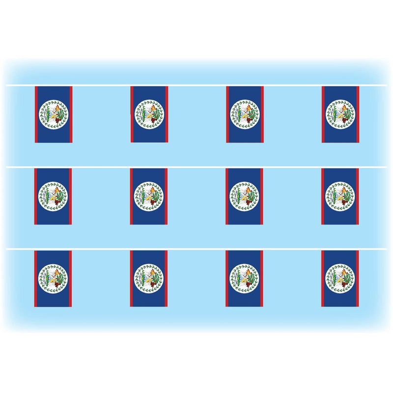 Belize flag bunting