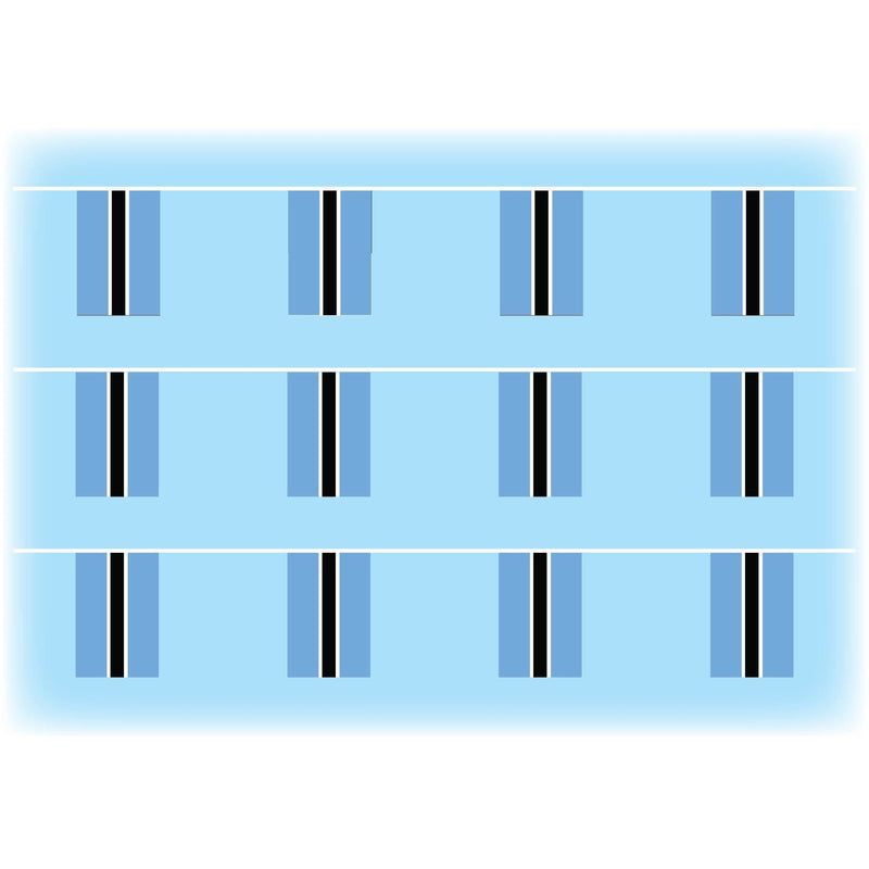 Botswana flag bunting