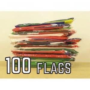 100 Budget Flags