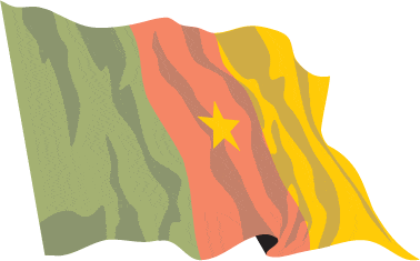 Cameroon Sewn Flag with Rope & Toggle