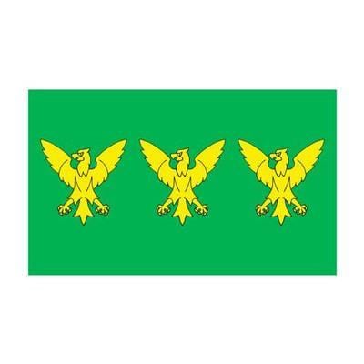 Caernarfonshire County Flag