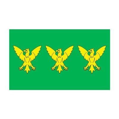 Caernarfonshire County Flag